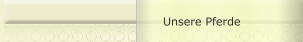 Unsere Pferde