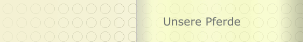 Unsere Pferde